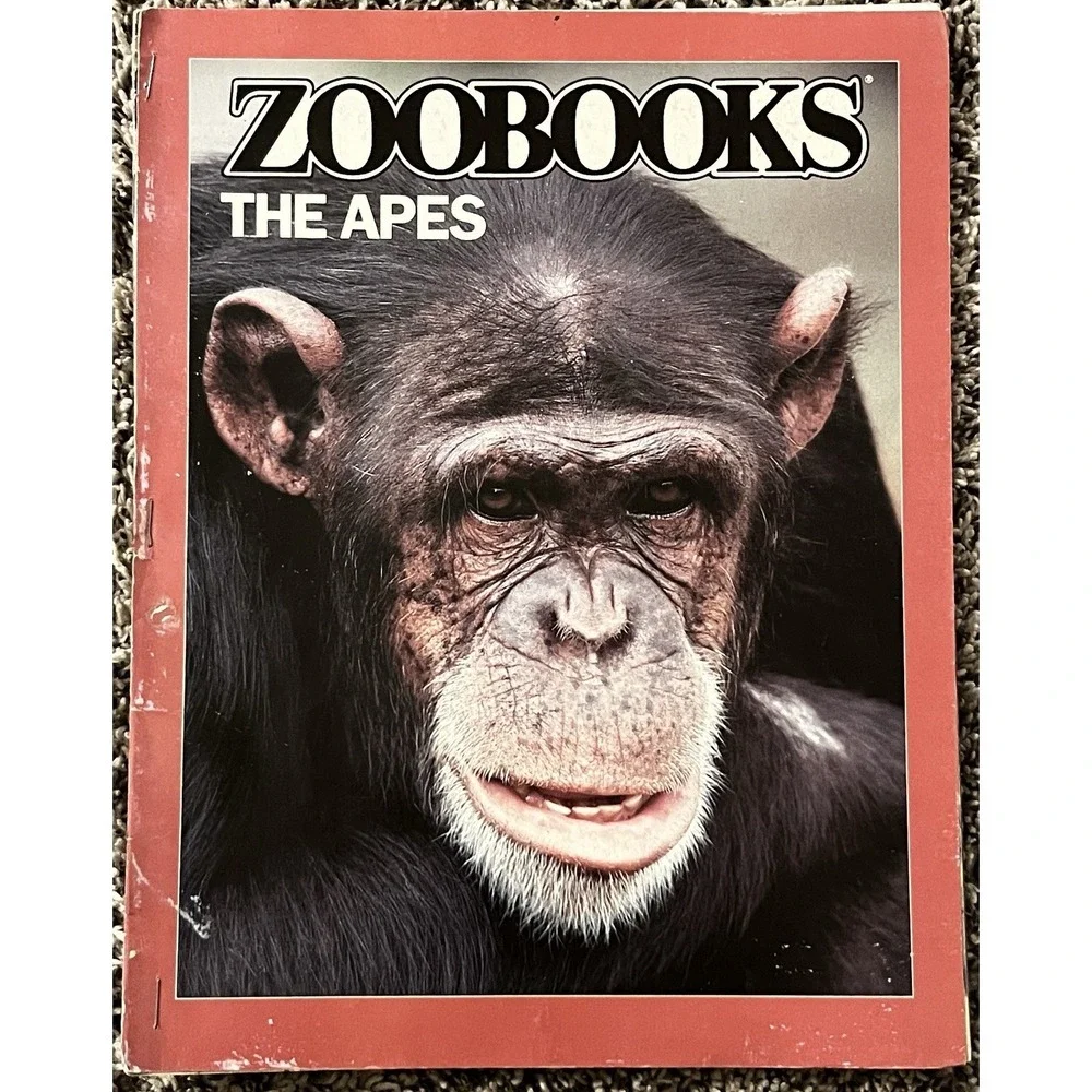 Vintage Zoobooks Lot of 26‎ Magazines 1980-1990 Random Animals Baby 2